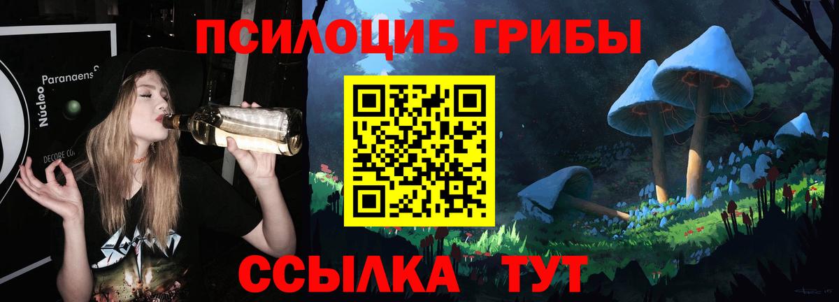 Псилоцибиновые грибы Cubensis  что такое наркотик  Миллерово  Вход с VPN 